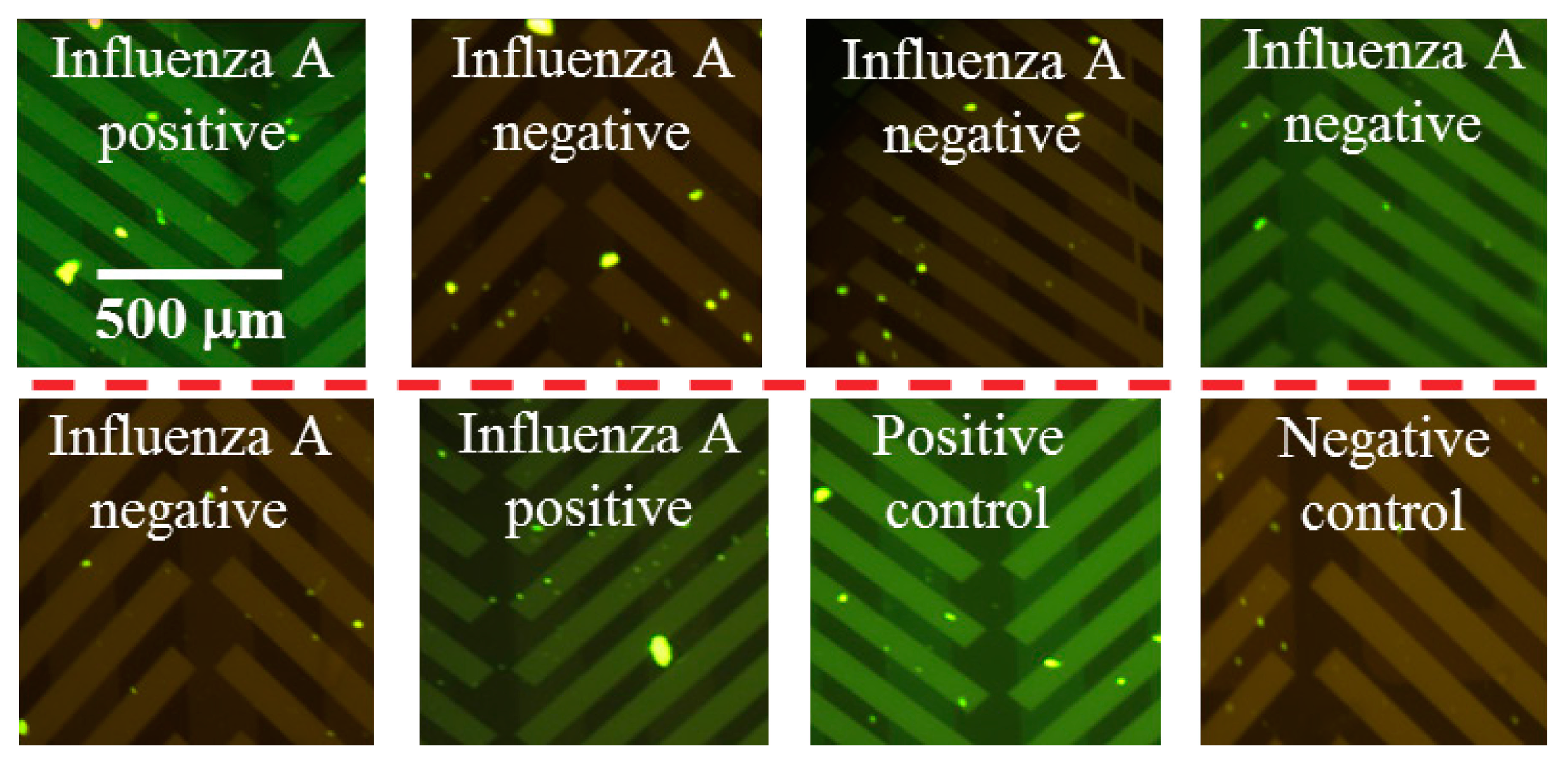 Micromachines 06 00063 g005