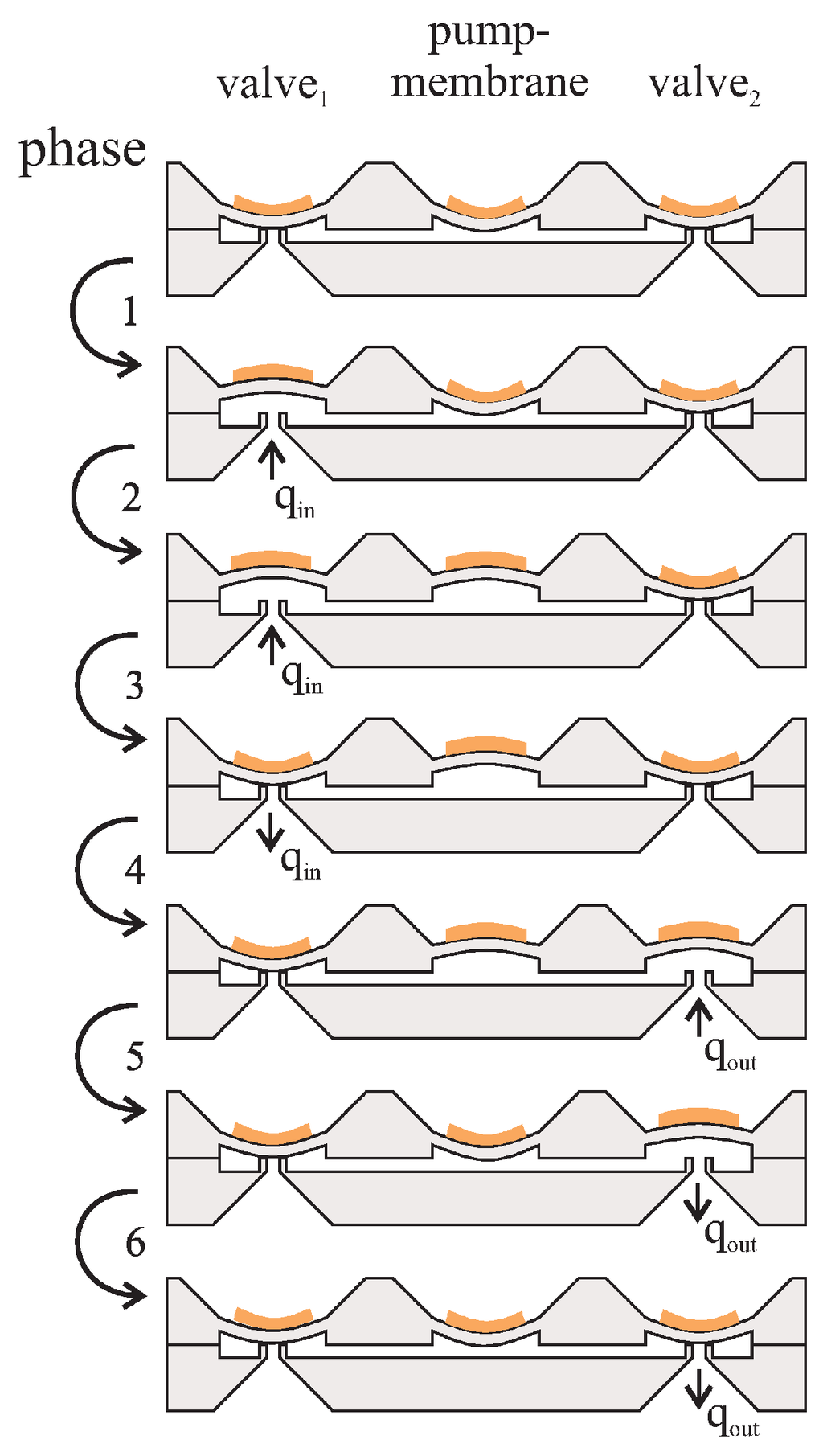Micromachines 06 00080 g002 1024