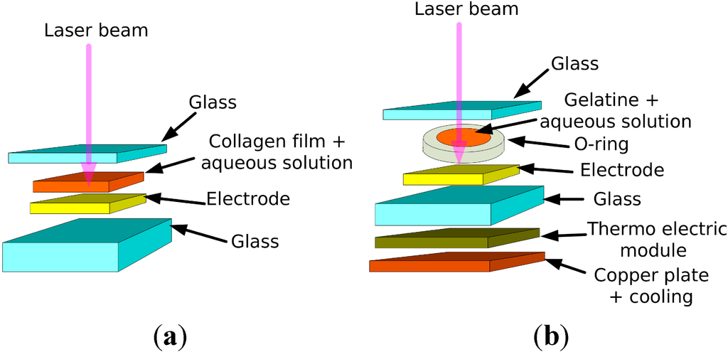 Micromachines 06 00096 g003 1024