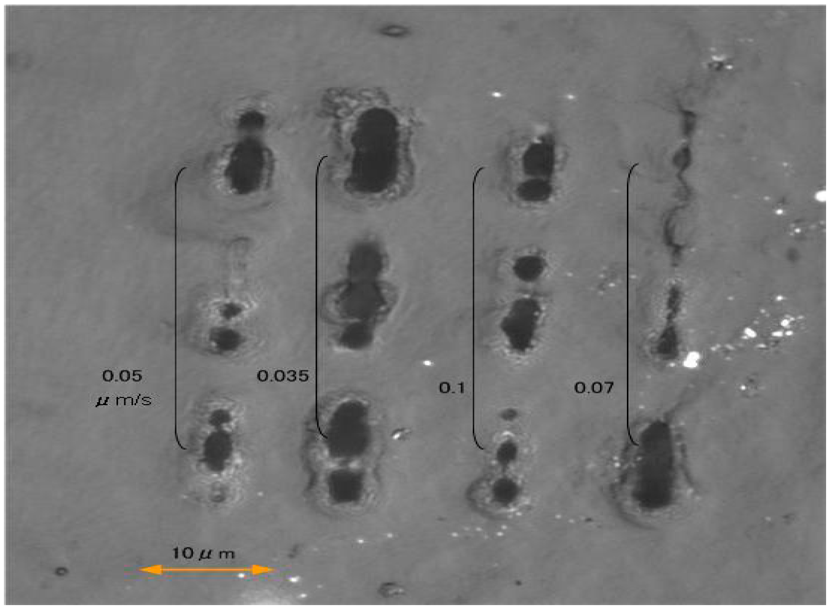 Micromachines 06 00096 g008