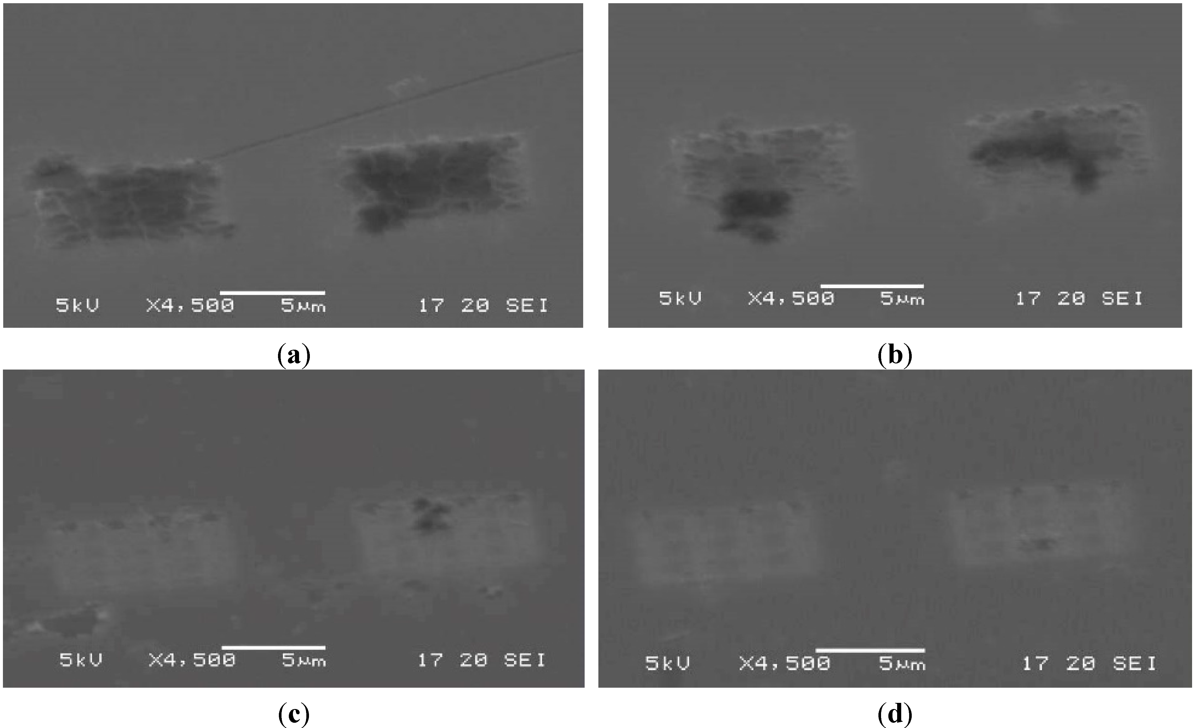 Micromachines 06 00096 g011