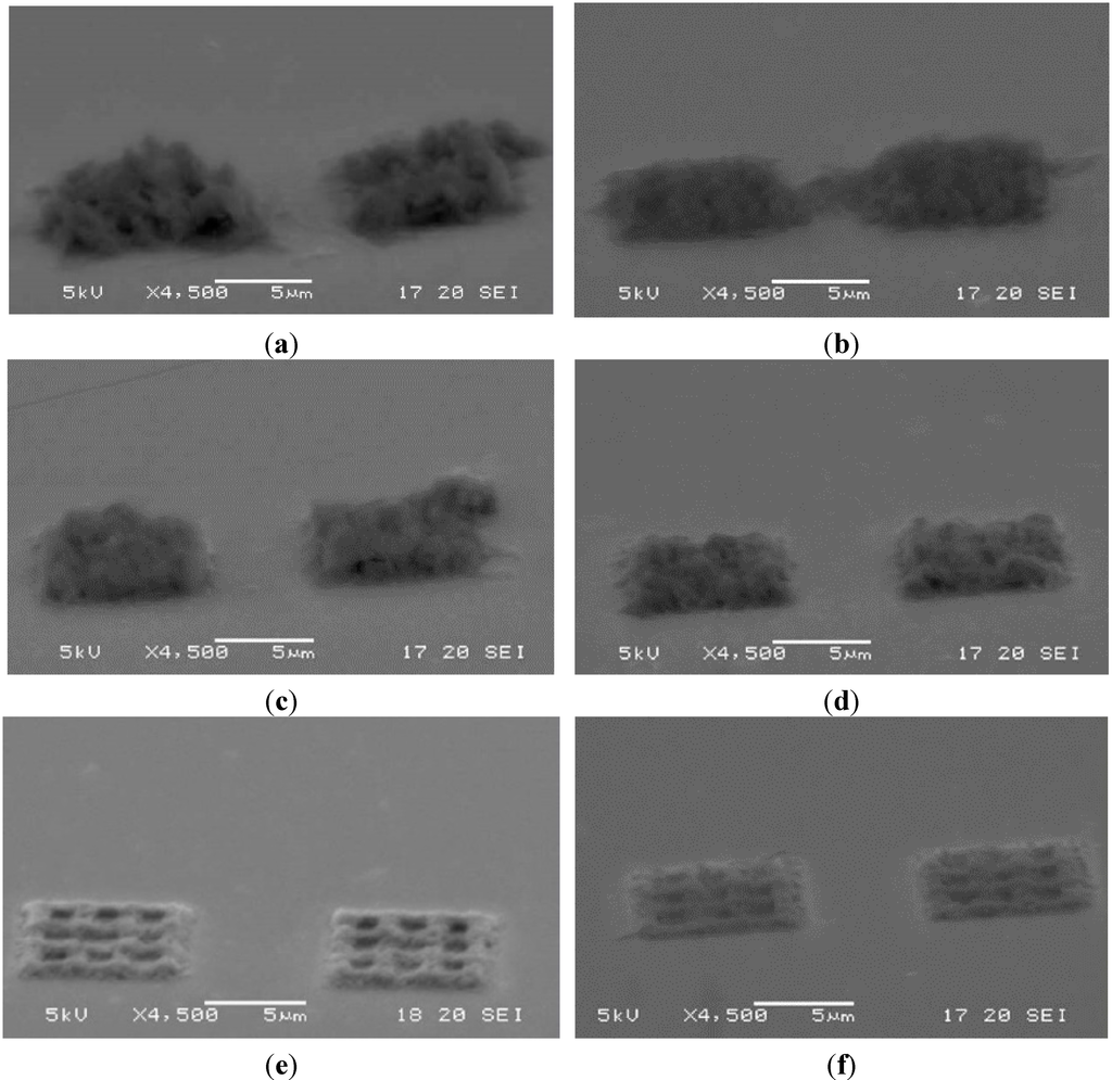 Micromachines 06 00096 g012 1024