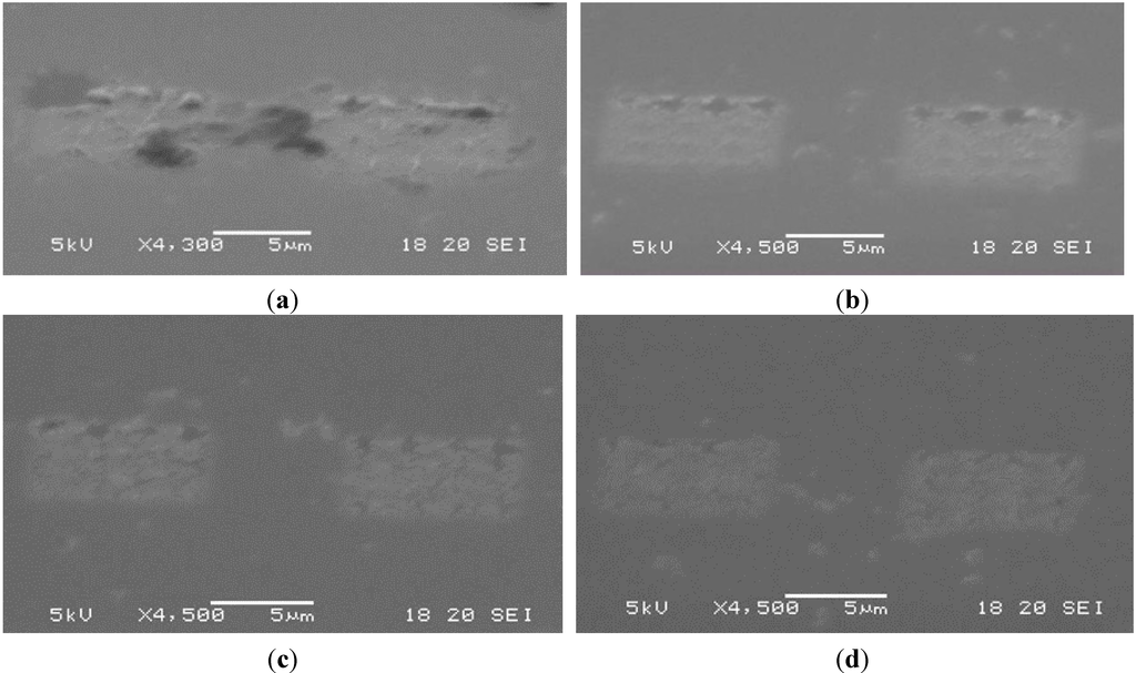 Micromachines 06 00096 g013 1024