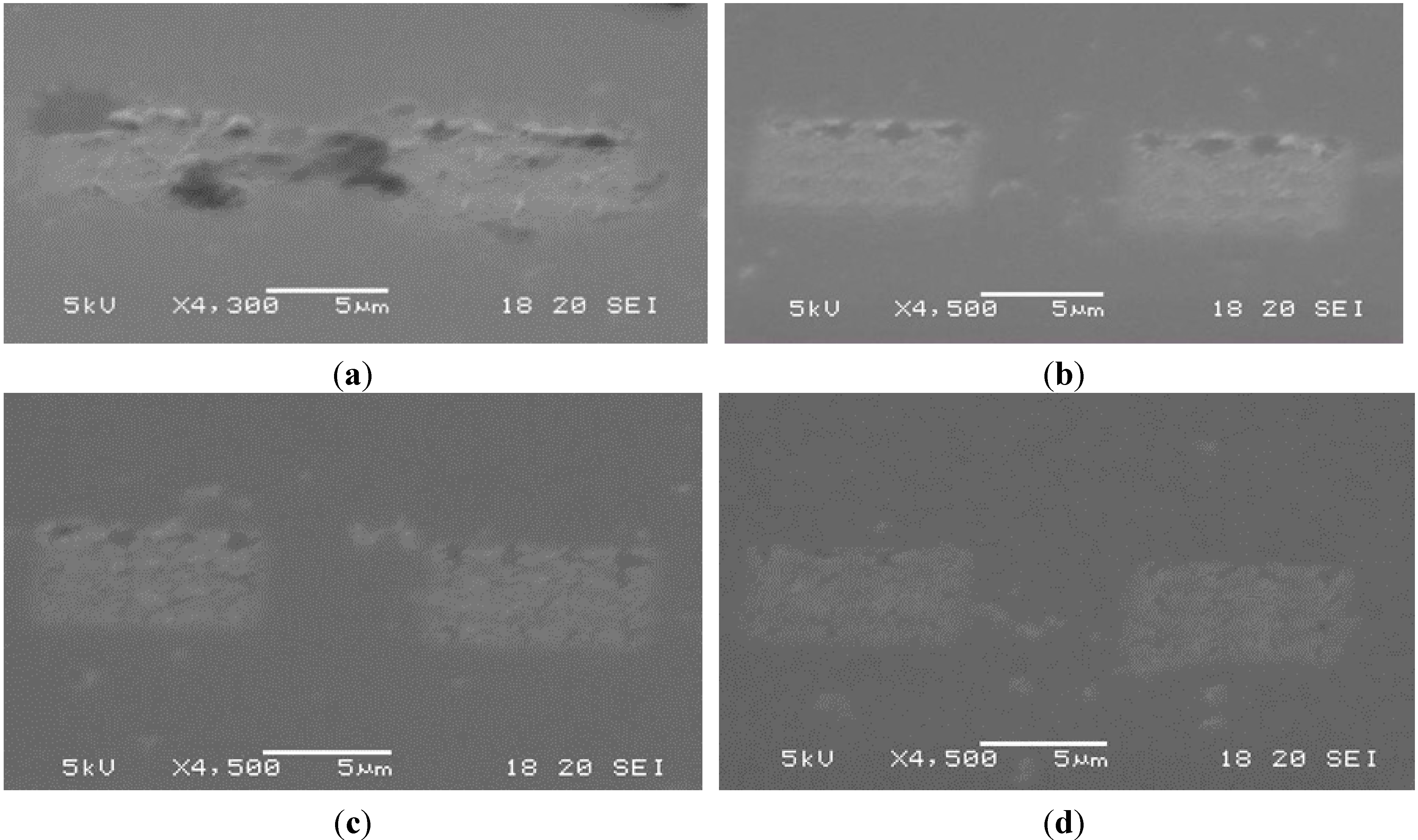 Micromachines 06 00096 g013