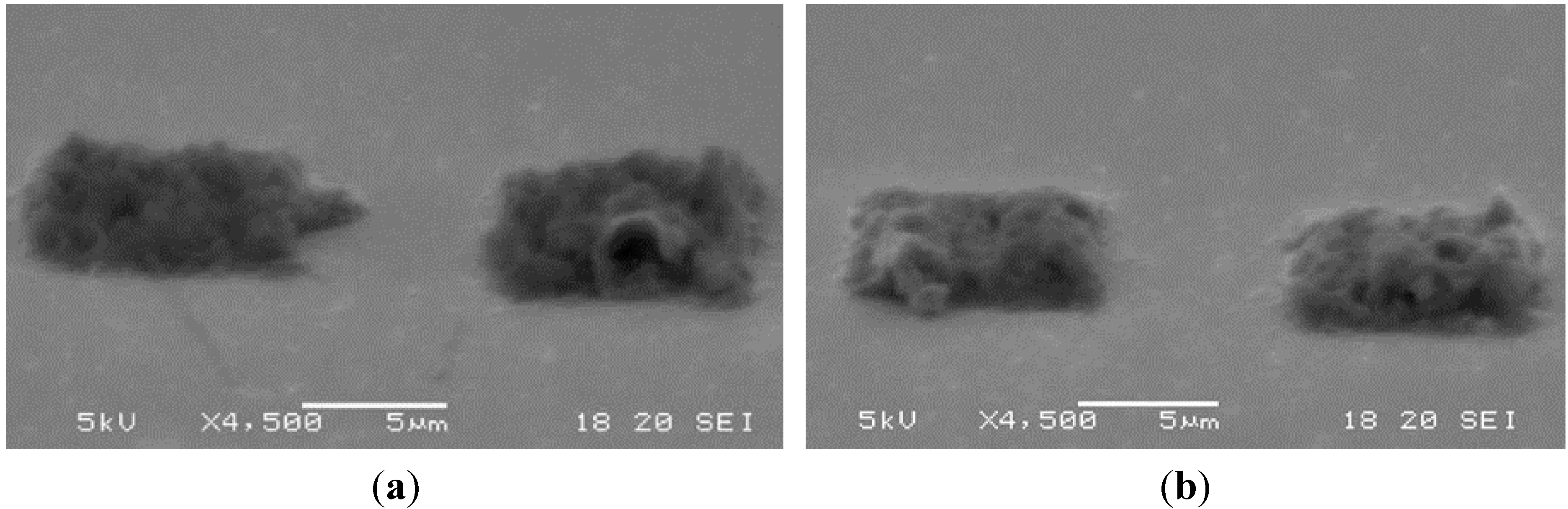 Micromachines 06 00096 g014a