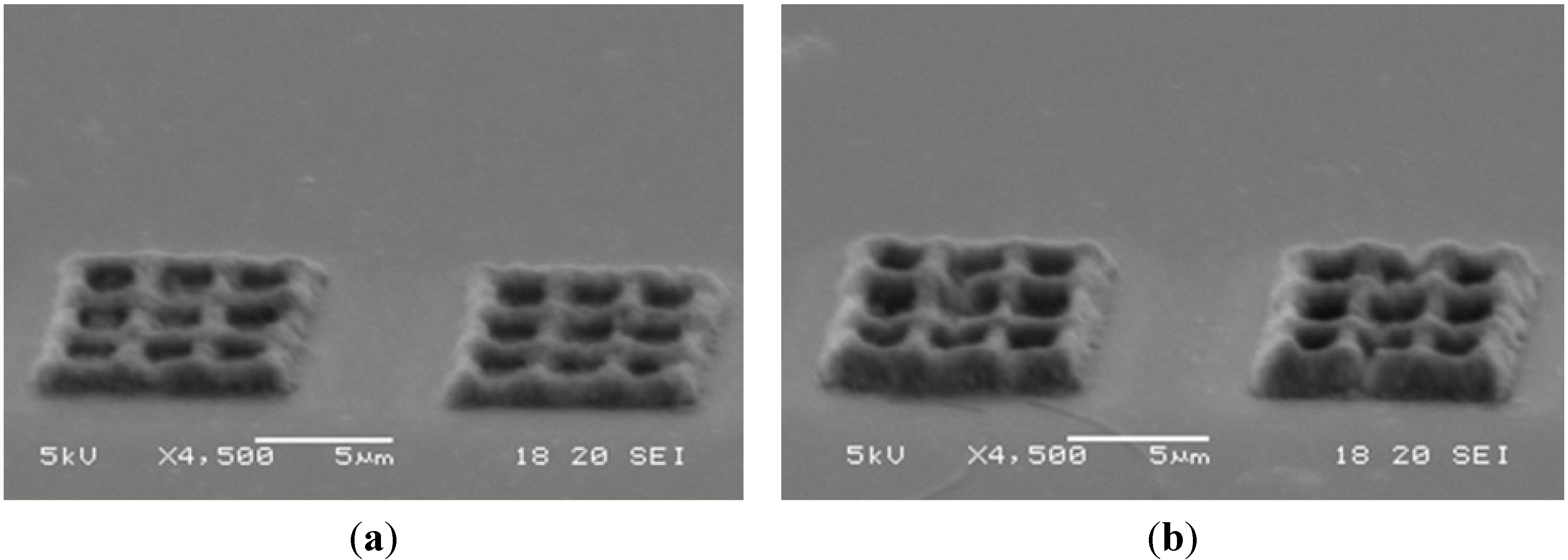 Micromachines 06 00096 g017