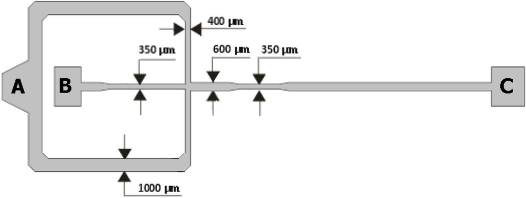 Micromachines 06 00121 g002 1024