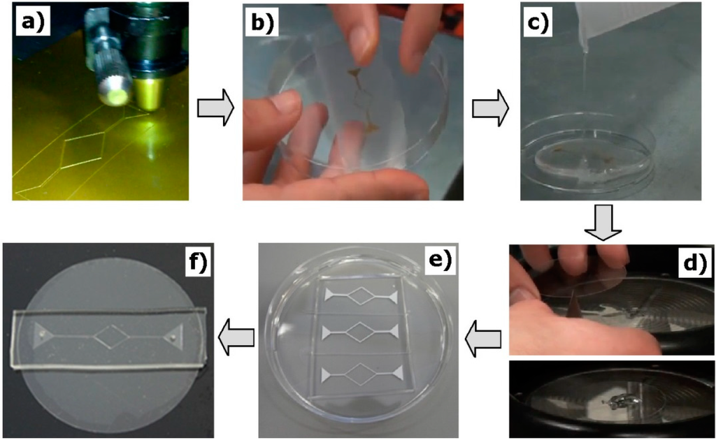 Micromachines 06 00121 g003 1024