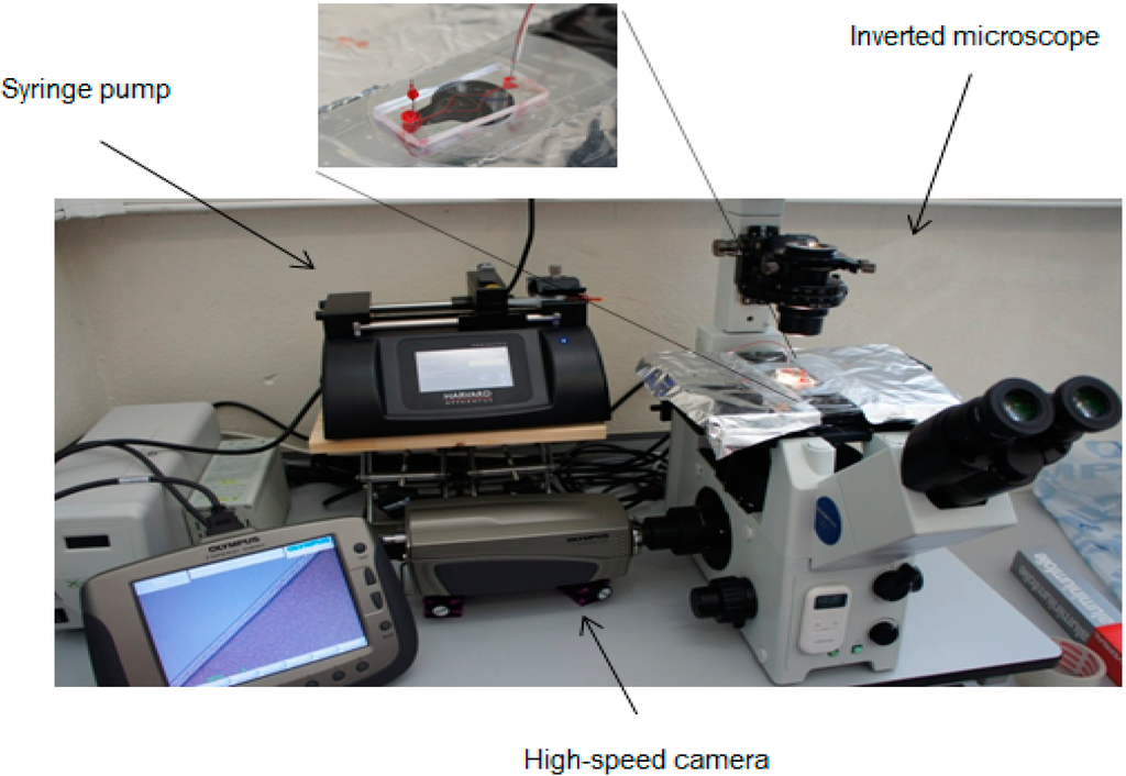 Micromachines 06 00121 g004 1024