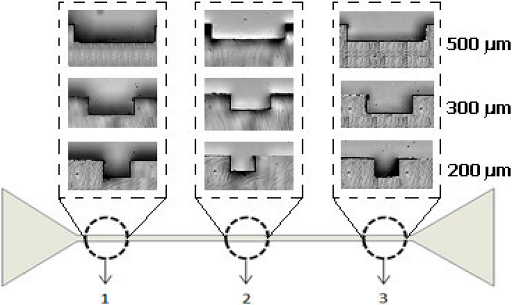 Micromachines 06 00121 g006 1024