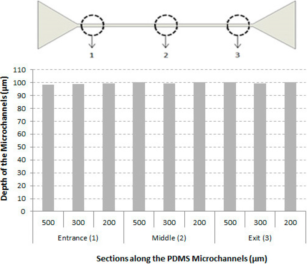 Micromachines 06 00121 g008 1024