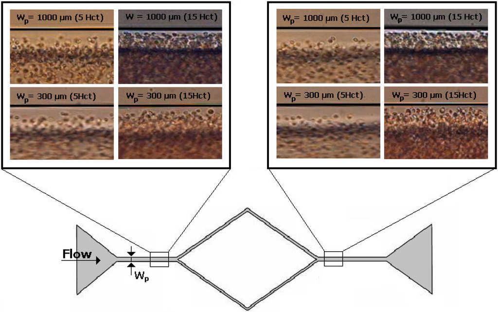 Micromachines 06 00121 g009 1024
