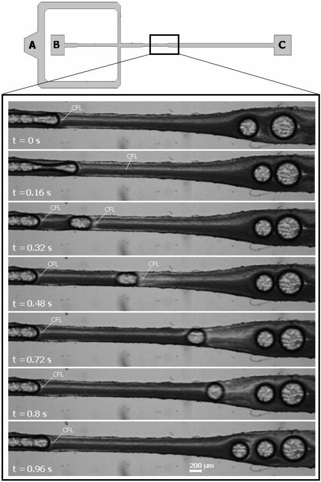 Micromachines 06 00121 g012 1024
