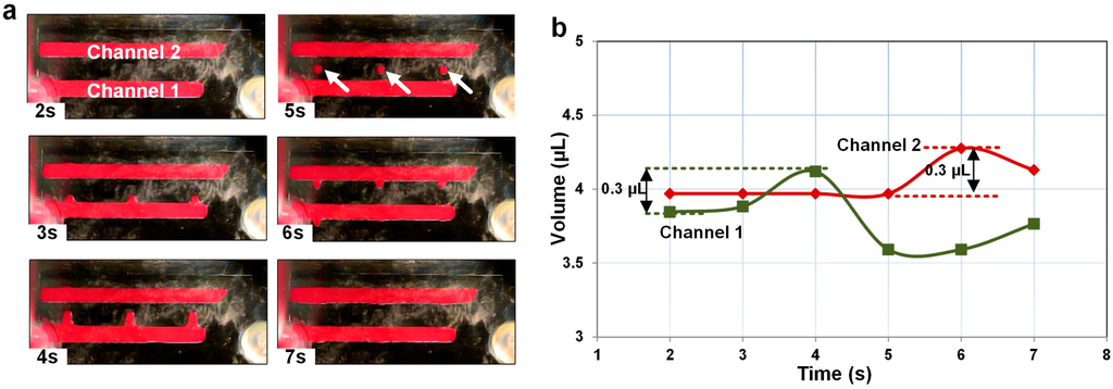 Micromachines 06 00172 g006 1024