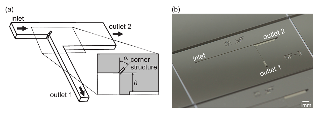 Micromachines 06 00239 g001 1024