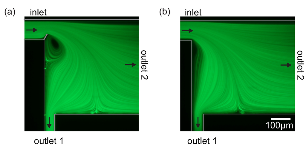 Micromachines 06 00239 g004 1024