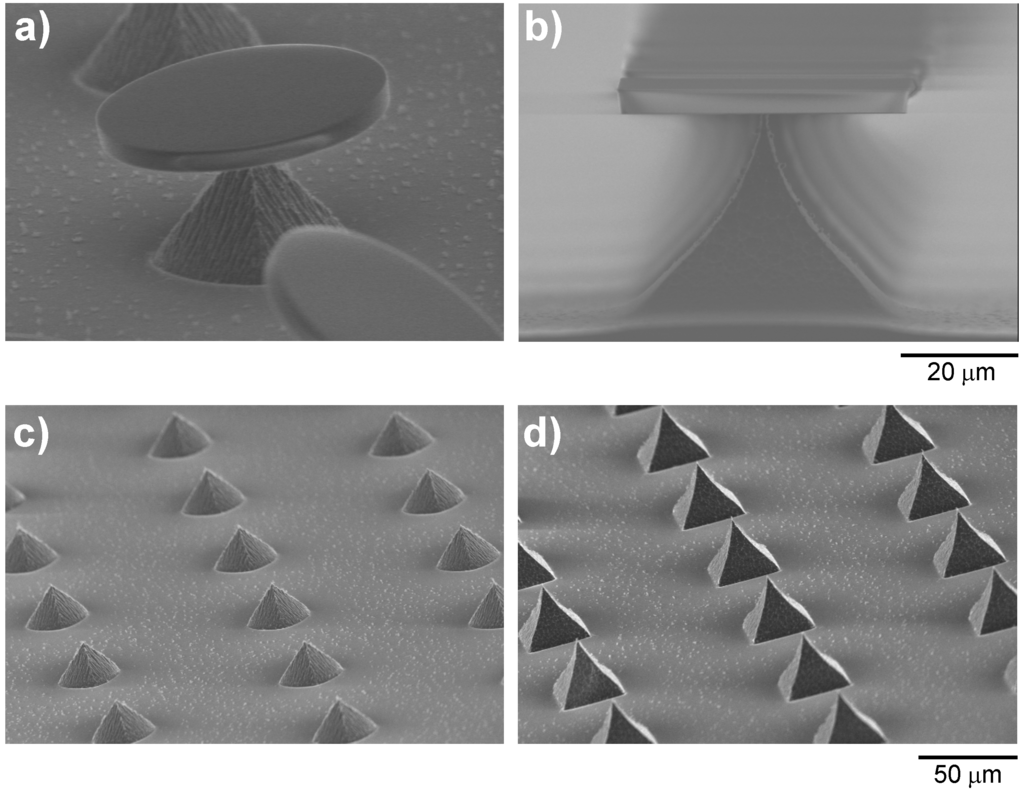 Micromachines 06 00252 g003 1024