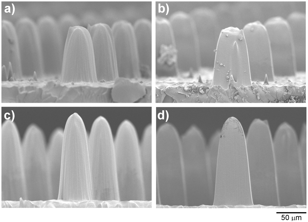 Micromachines 06 00252 g007 1024