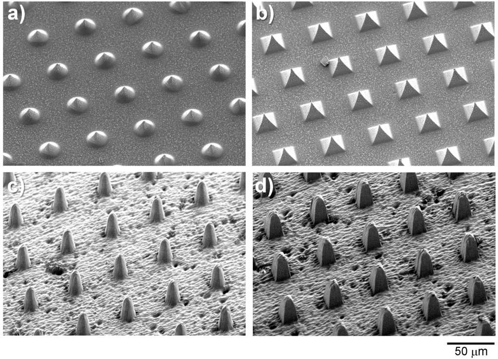 Micromachines 06 00252 g009 1024