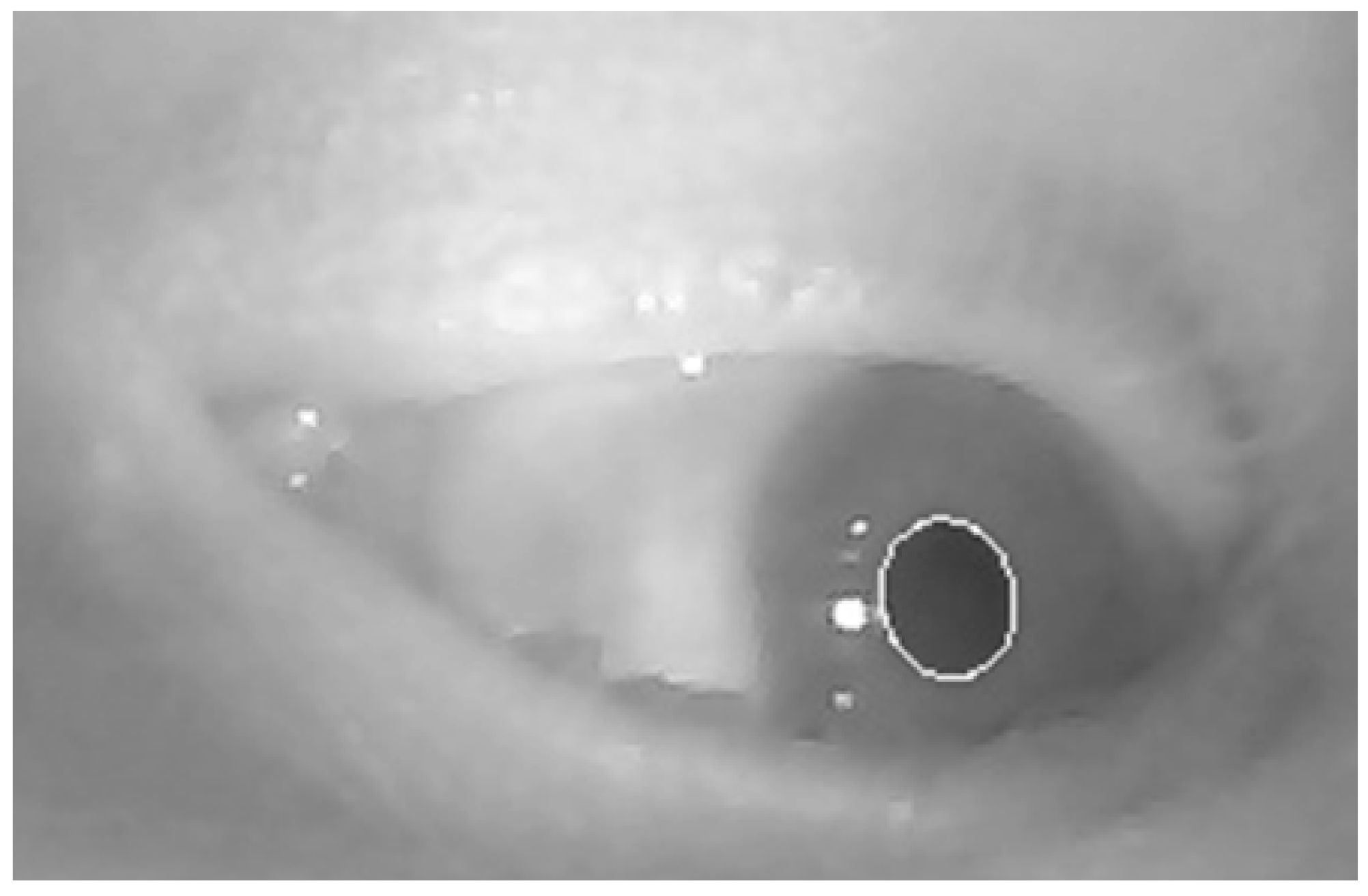 Micromachines 06 00291 g003