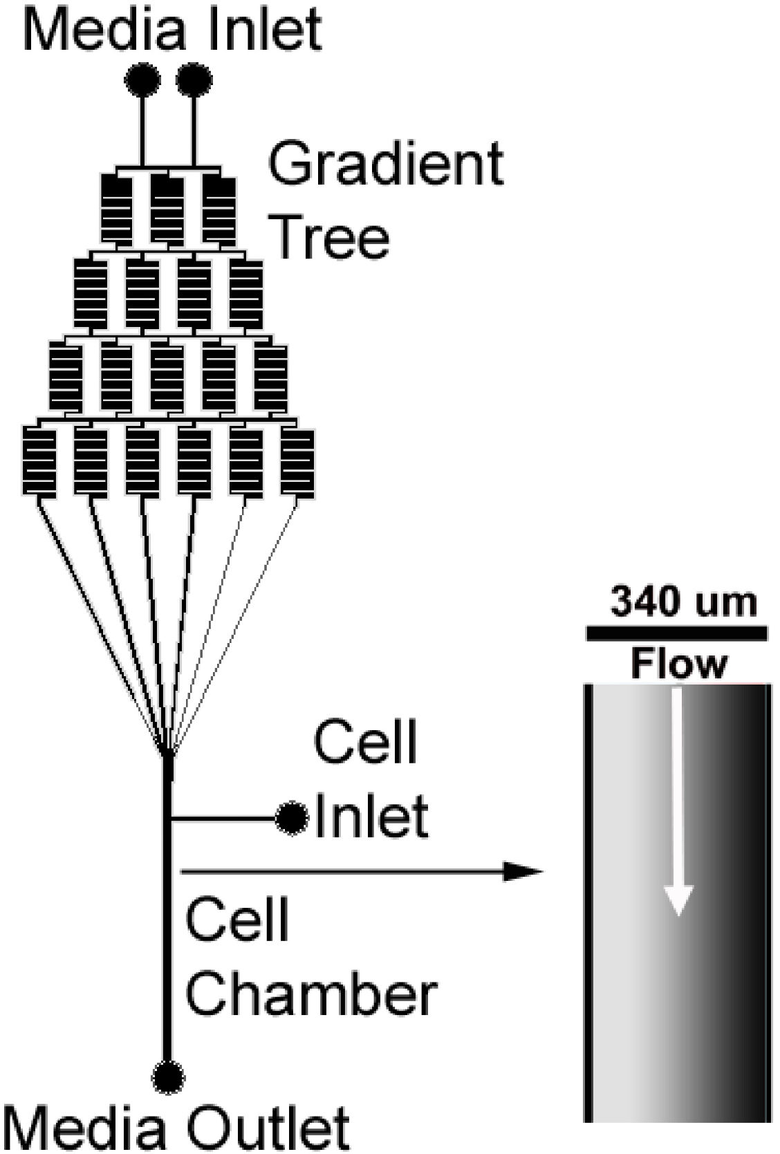 Micromachines 06 00330 g001