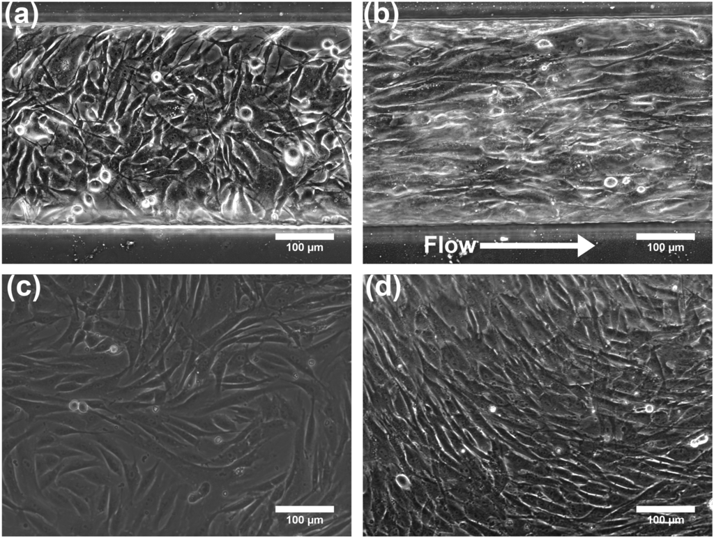 Micromachines 06 00330 g003 1024