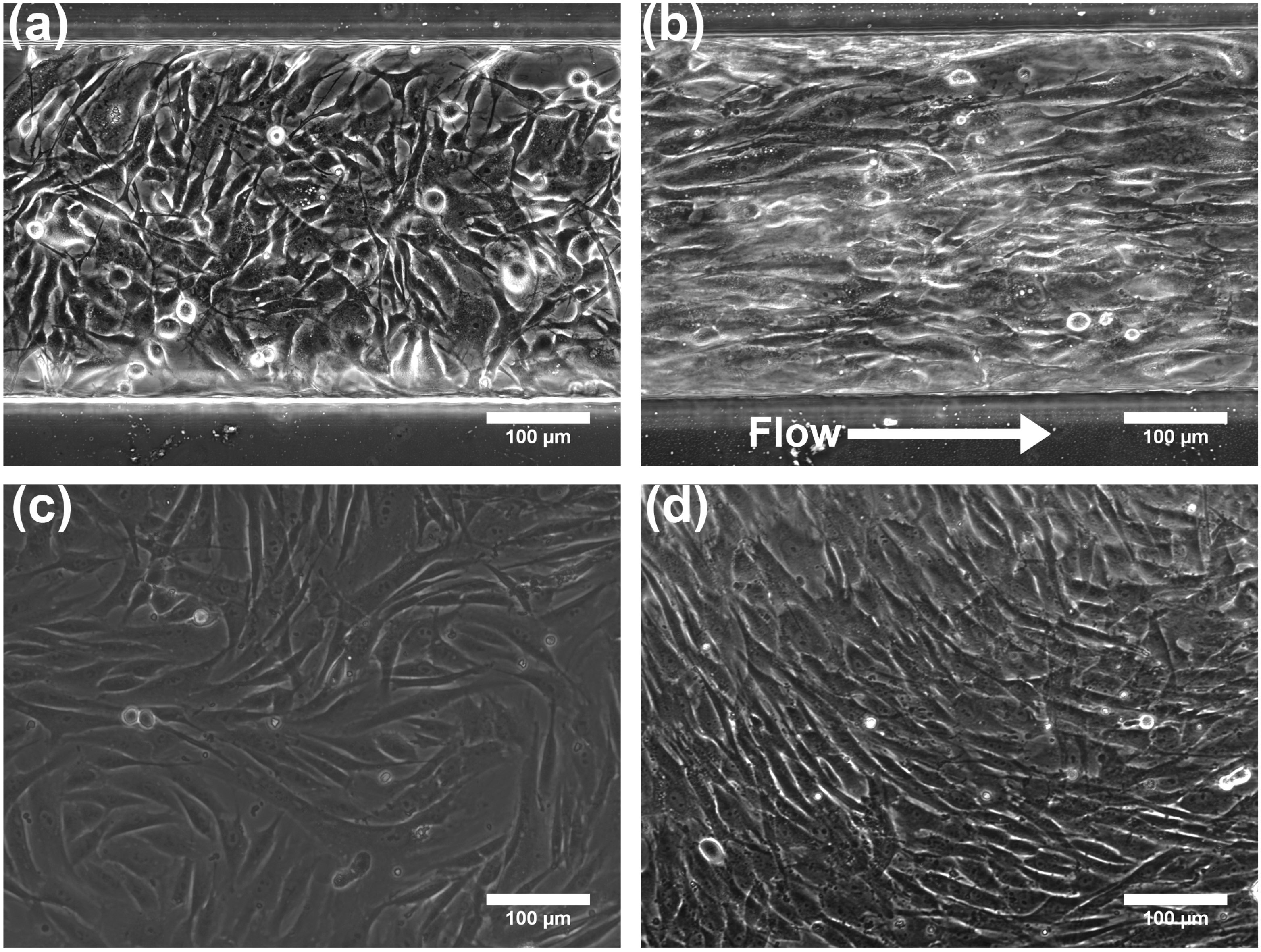 Micromachines 06 00330 g003