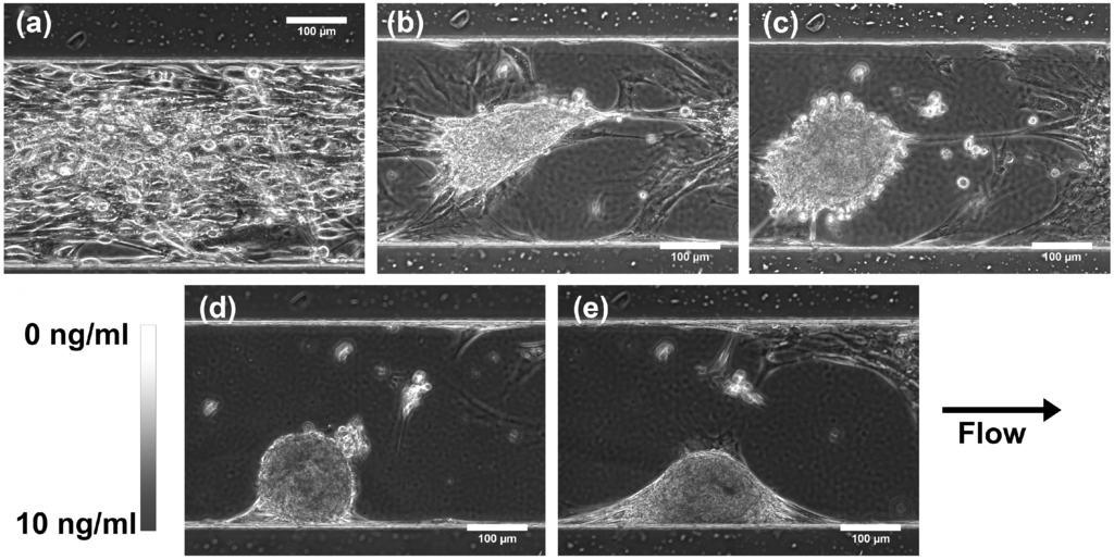 Micromachines 06 00330 g006 1024