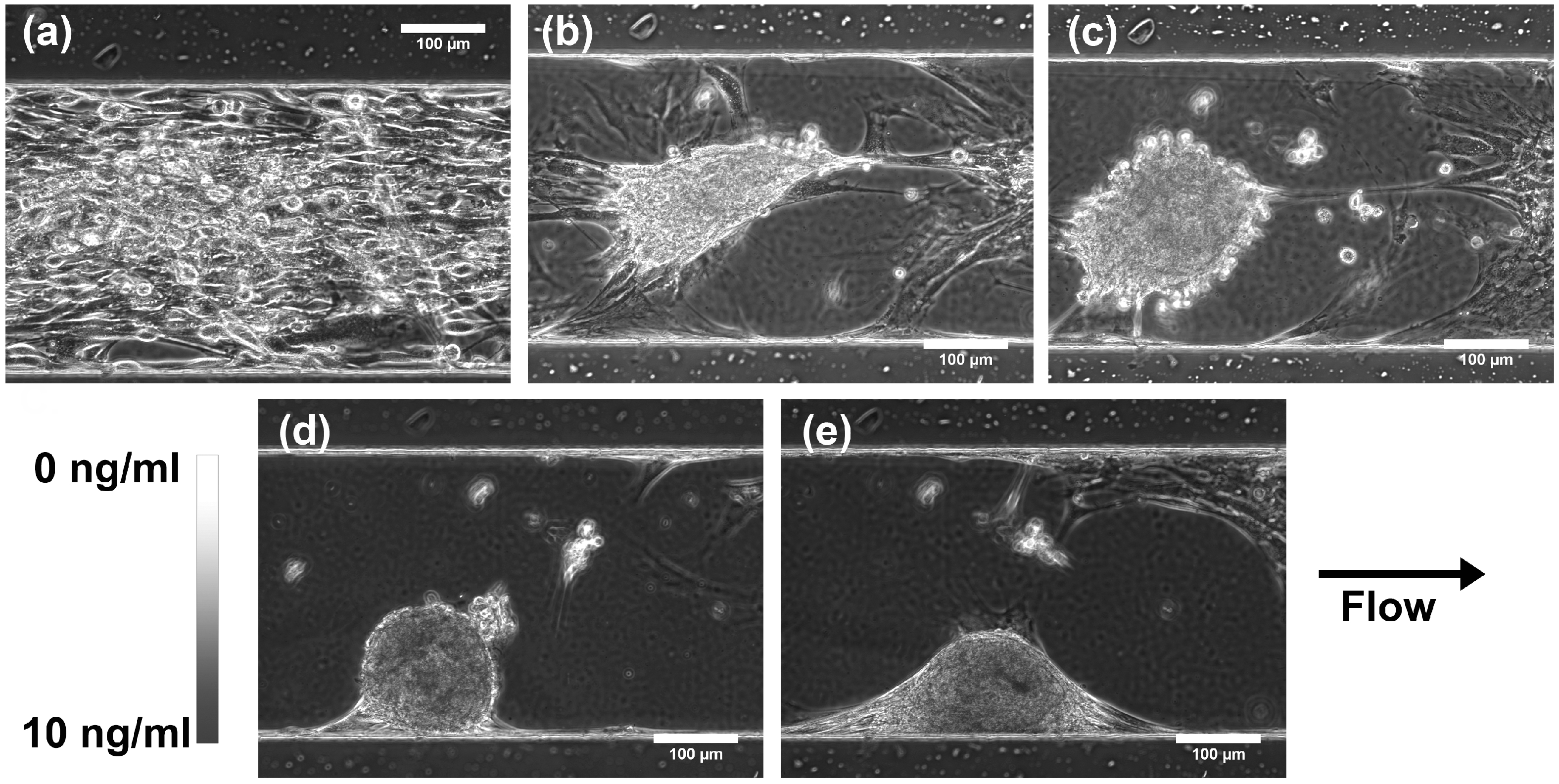 Micromachines 06 00330 g006