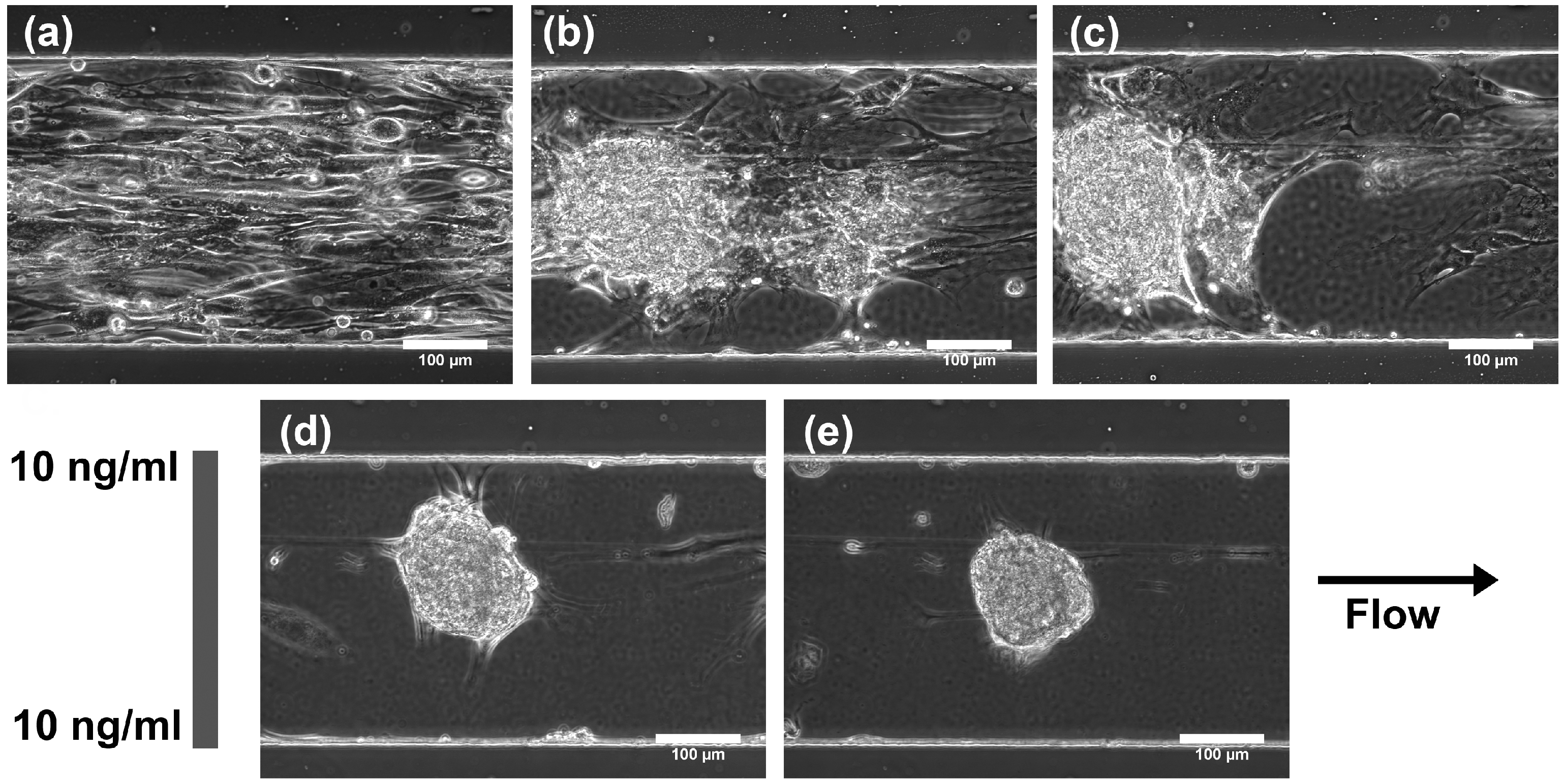 Micromachines 06 00330 g007