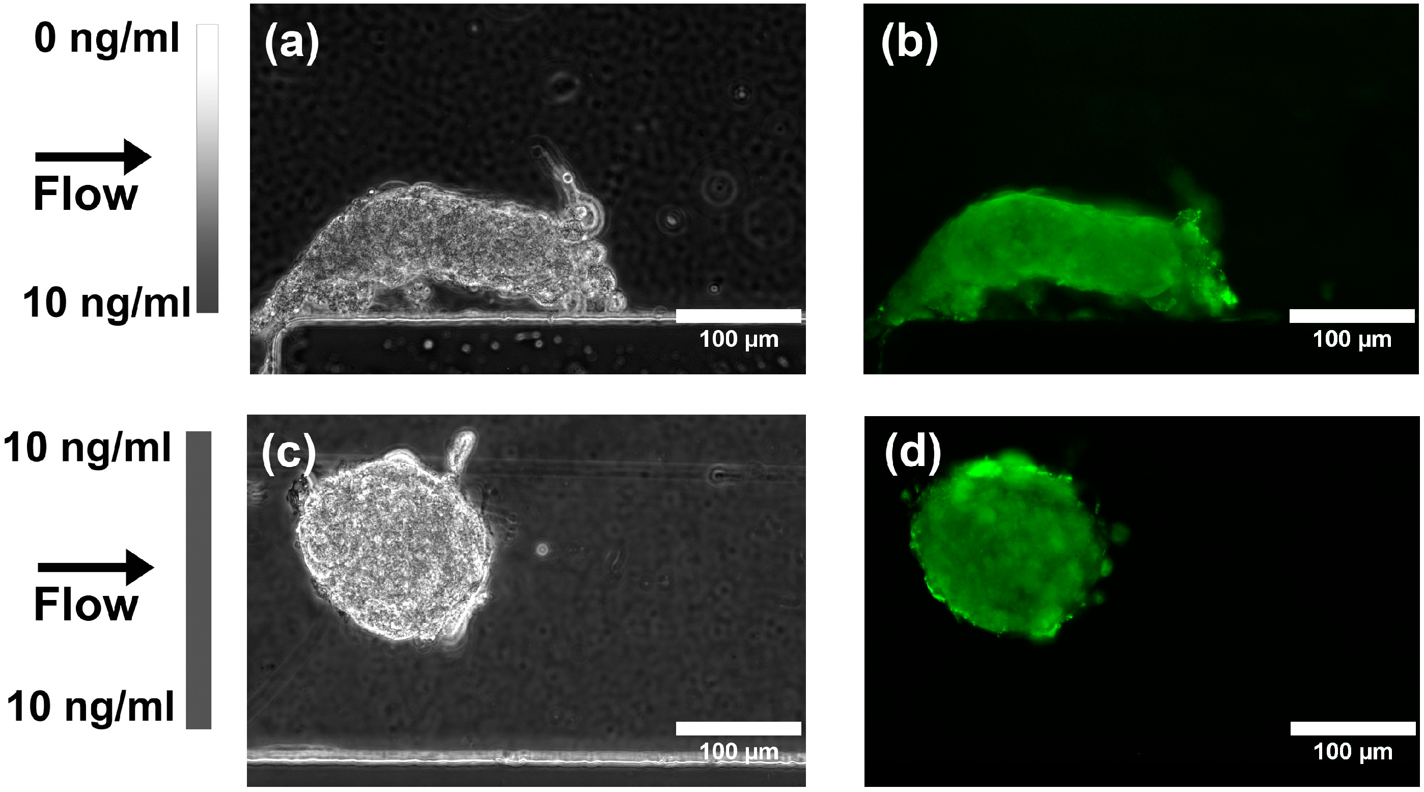 Micromachines 06 00330 g009