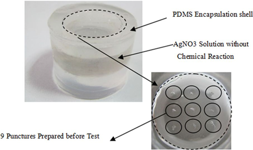 Micromachines 06 00396 g007 1024