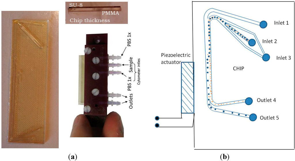 Micromachines 06 00574 g001 1024