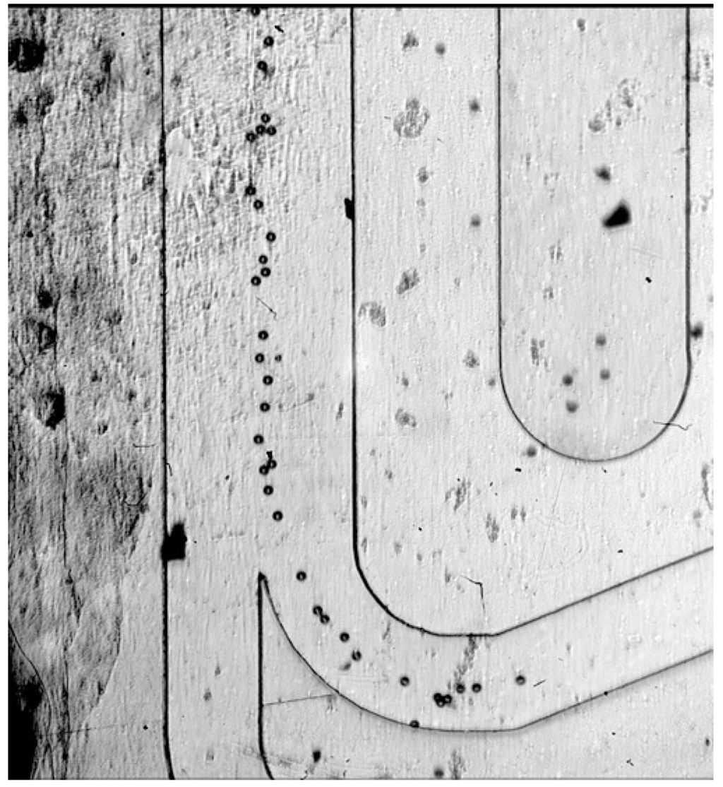 Micromachines 06 00574 g005 1024