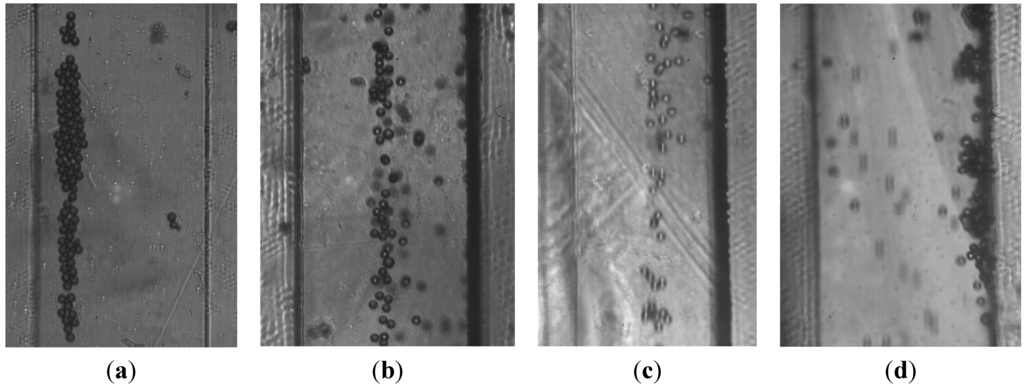 Micromachines 06 00574 g006 1024
