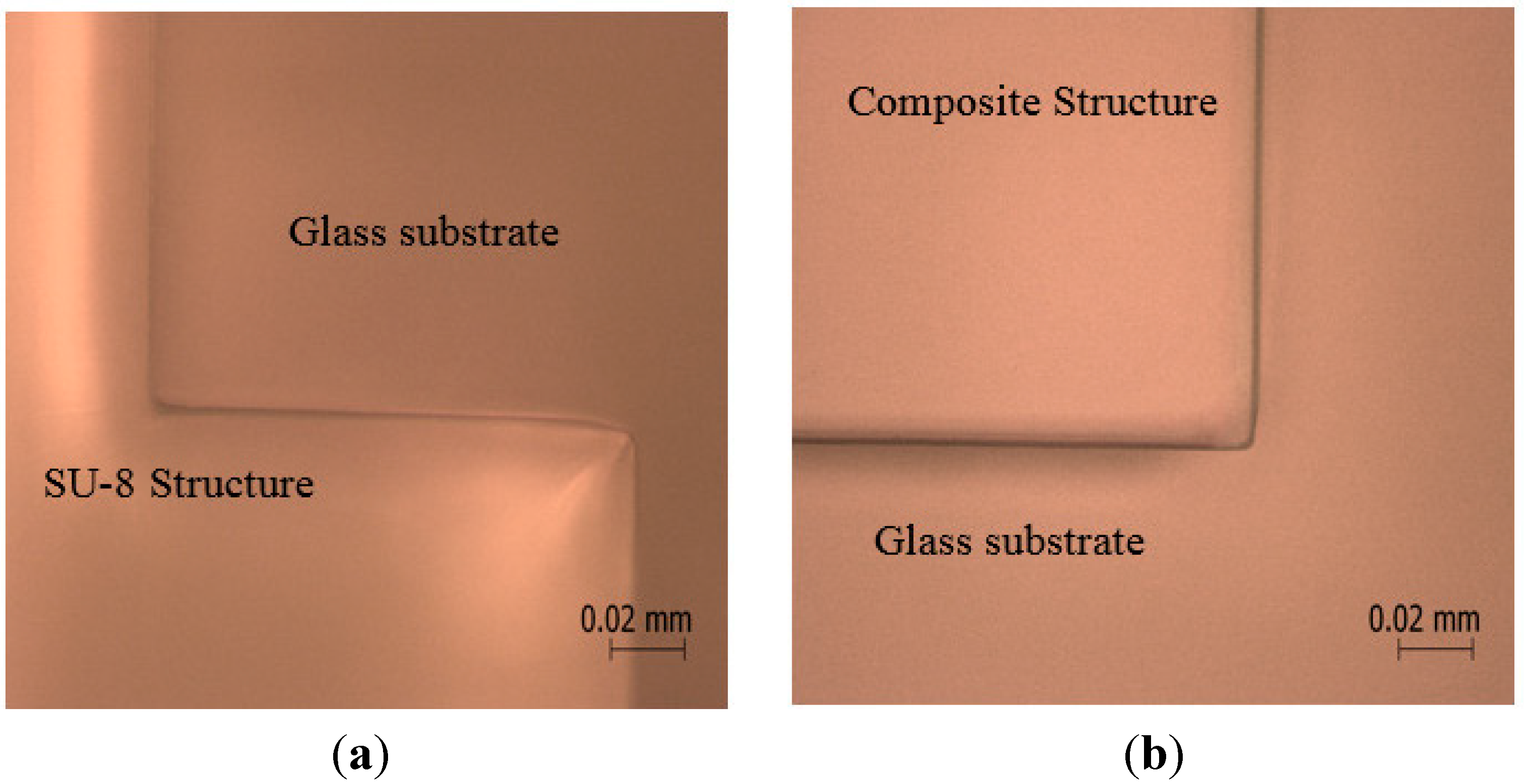 Micromachines 06 00611 g004