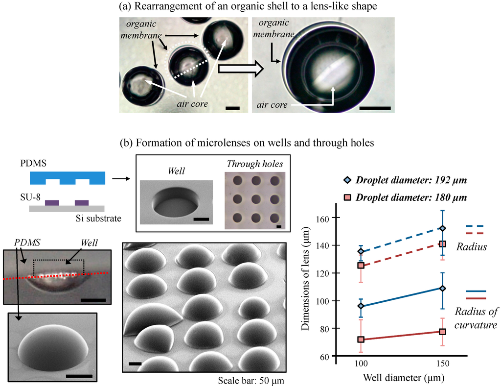 Micromachines 06 00622 g009 1024