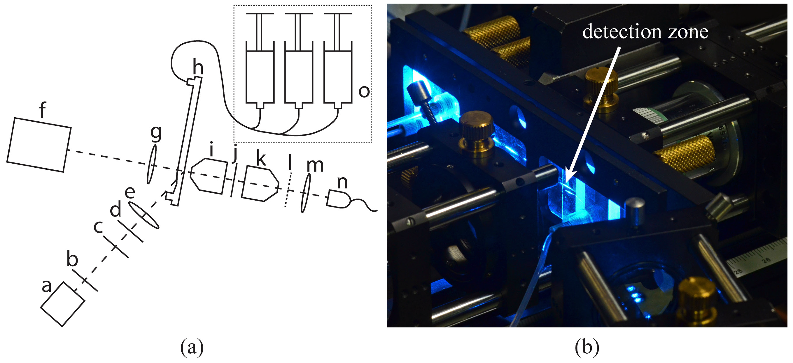 Micromachines 06 00634 g001
