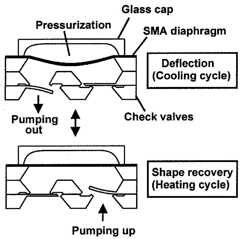 Micromachines 06 00879 g014 1024