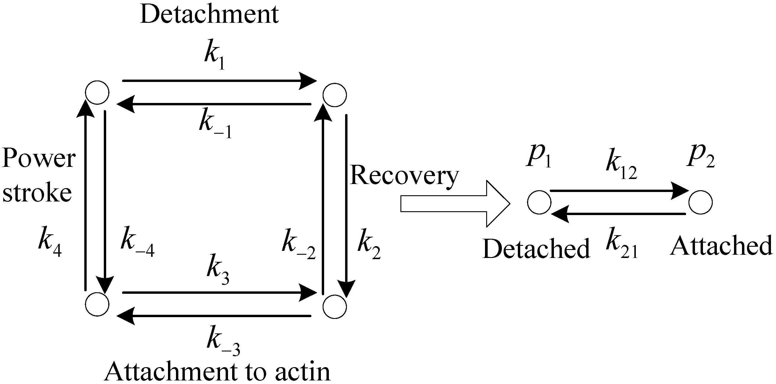 Micromachines 06 00902 g002