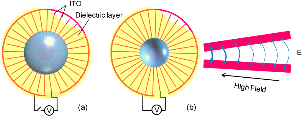 Micromachines 06 01157 g001 1024