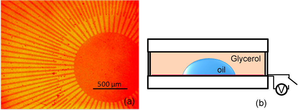 Micromachines 06 01157 g002 1024