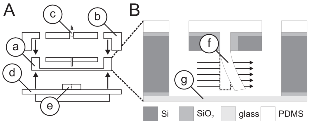 Micromachines 06 01189 g002 1024