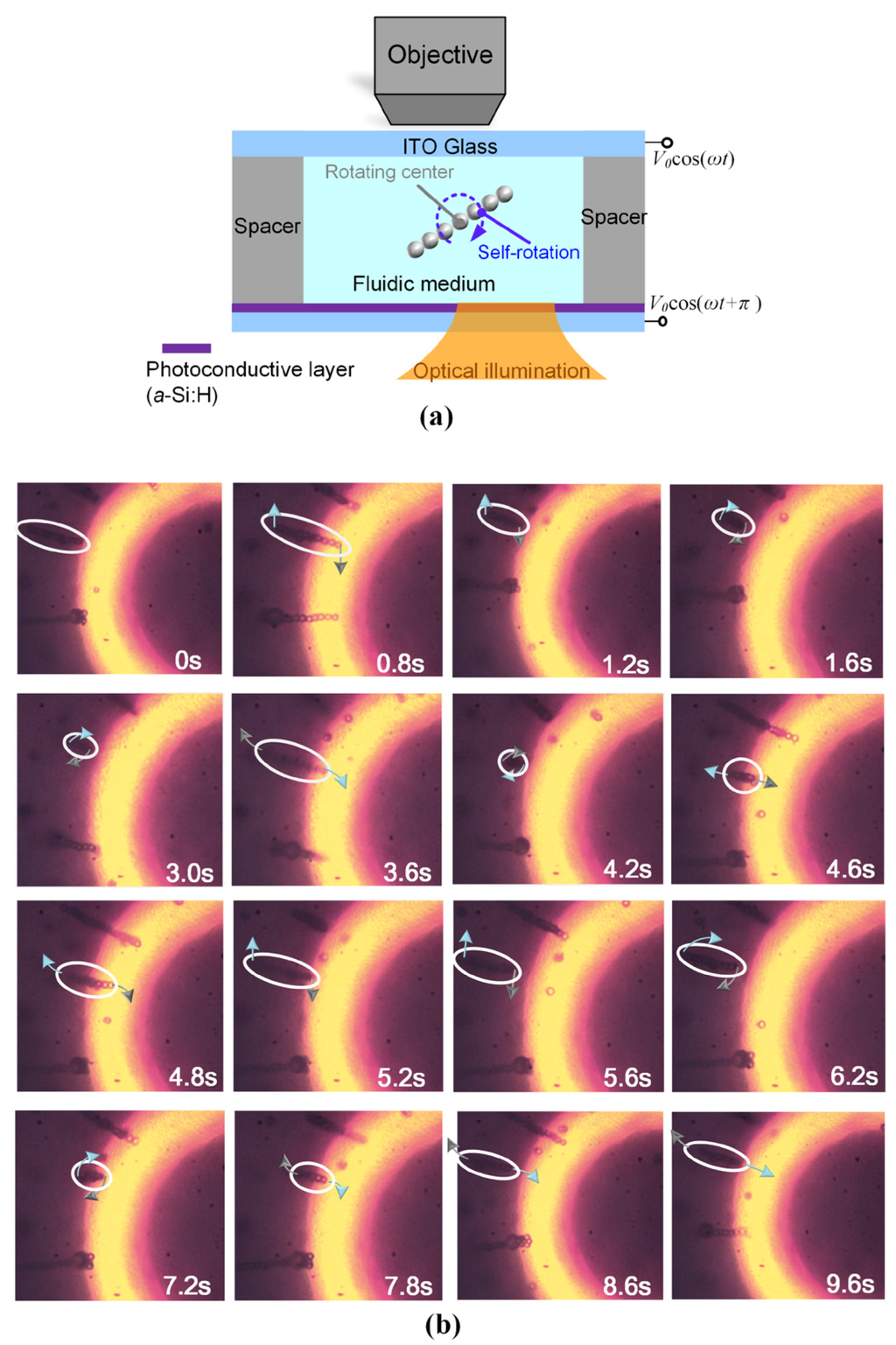 Micromachines 06 01387 g007 1024