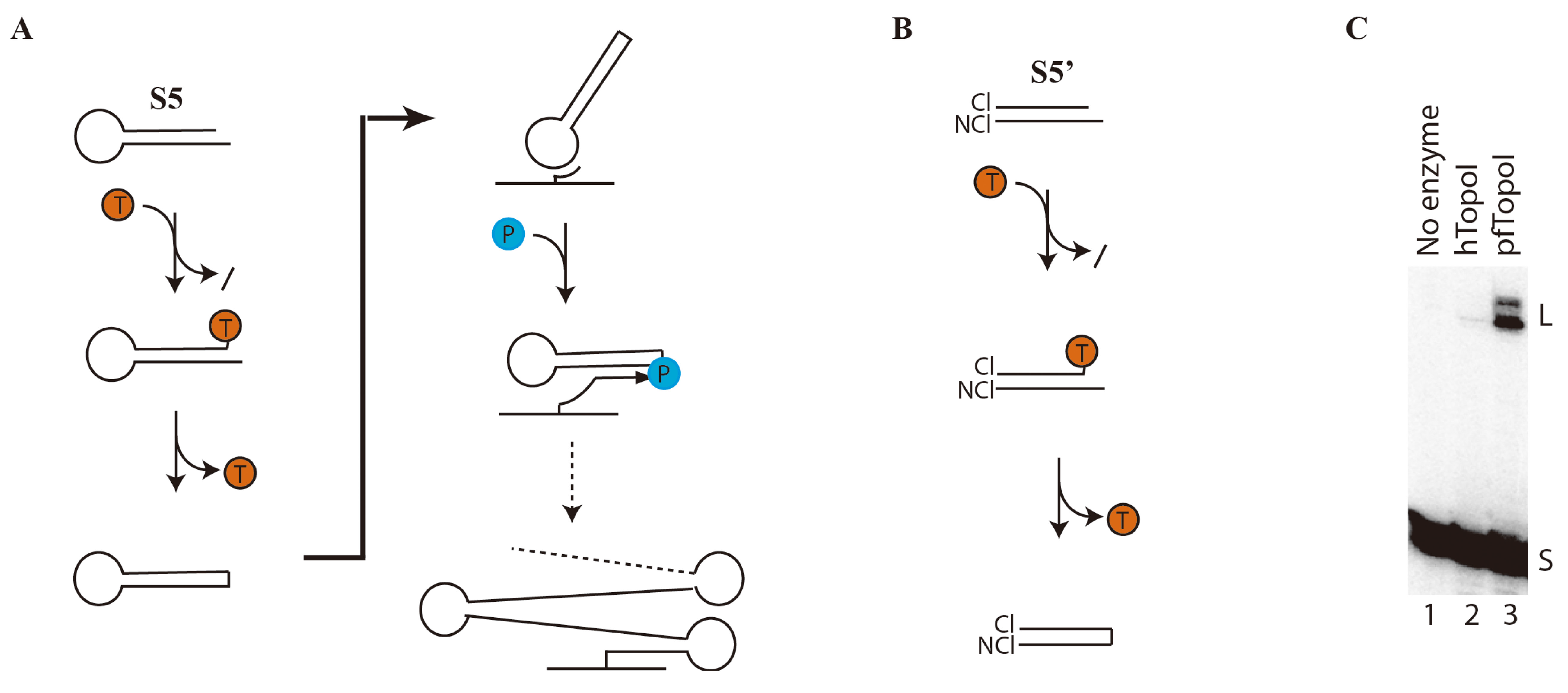 Micromachines 06 01432 g001