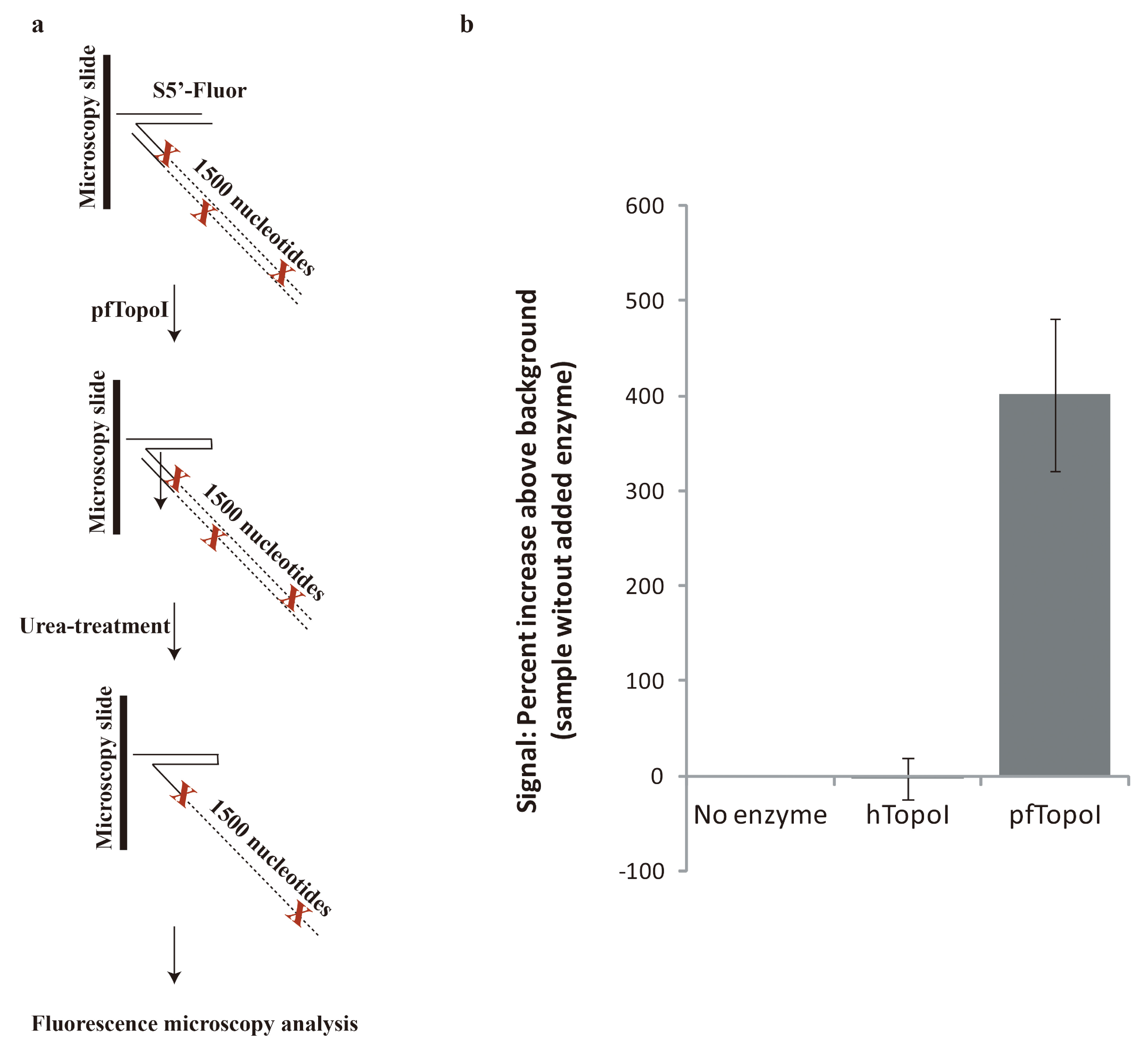 Micromachines 06 01432 g002