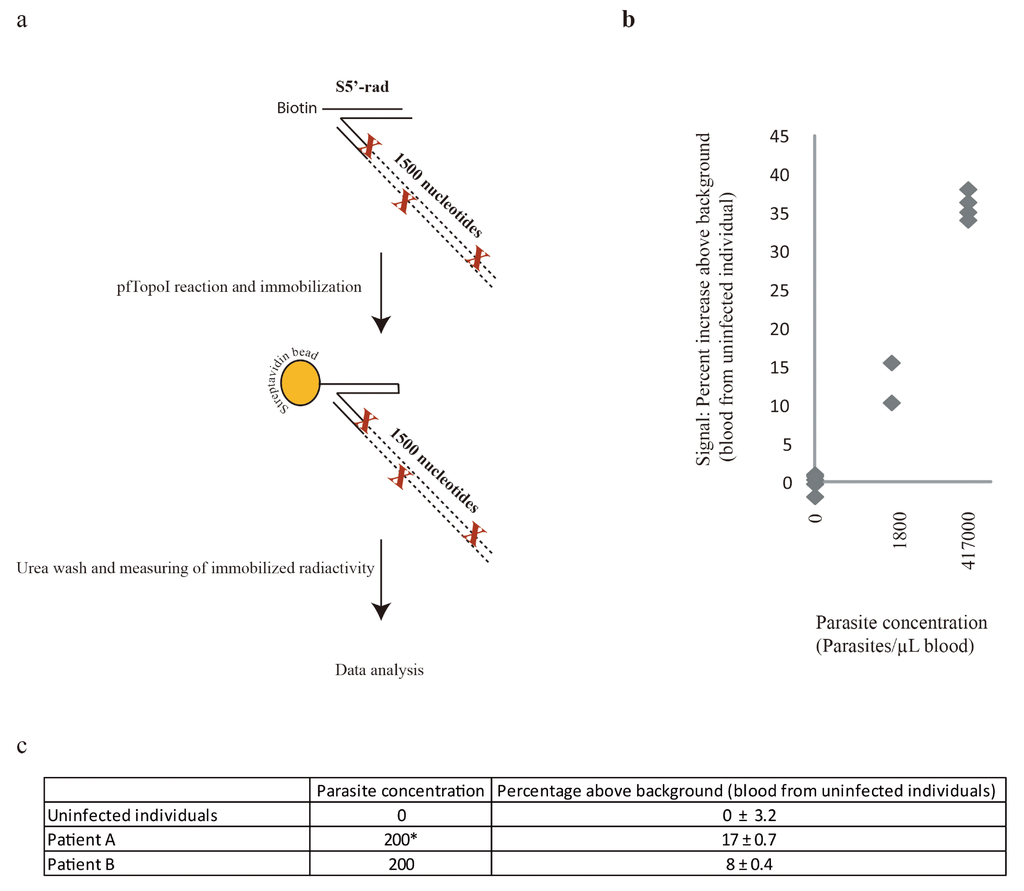 Micromachines 06 01432 g004 1024