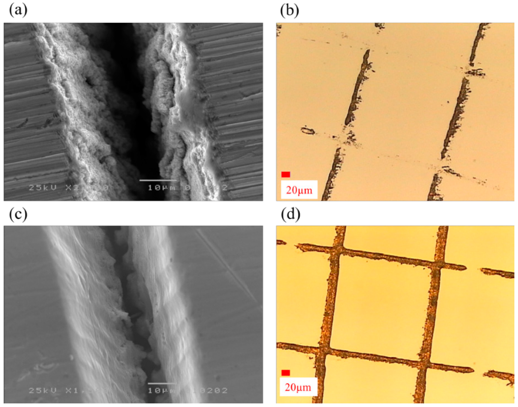 Micromachines 06 01433 g006
