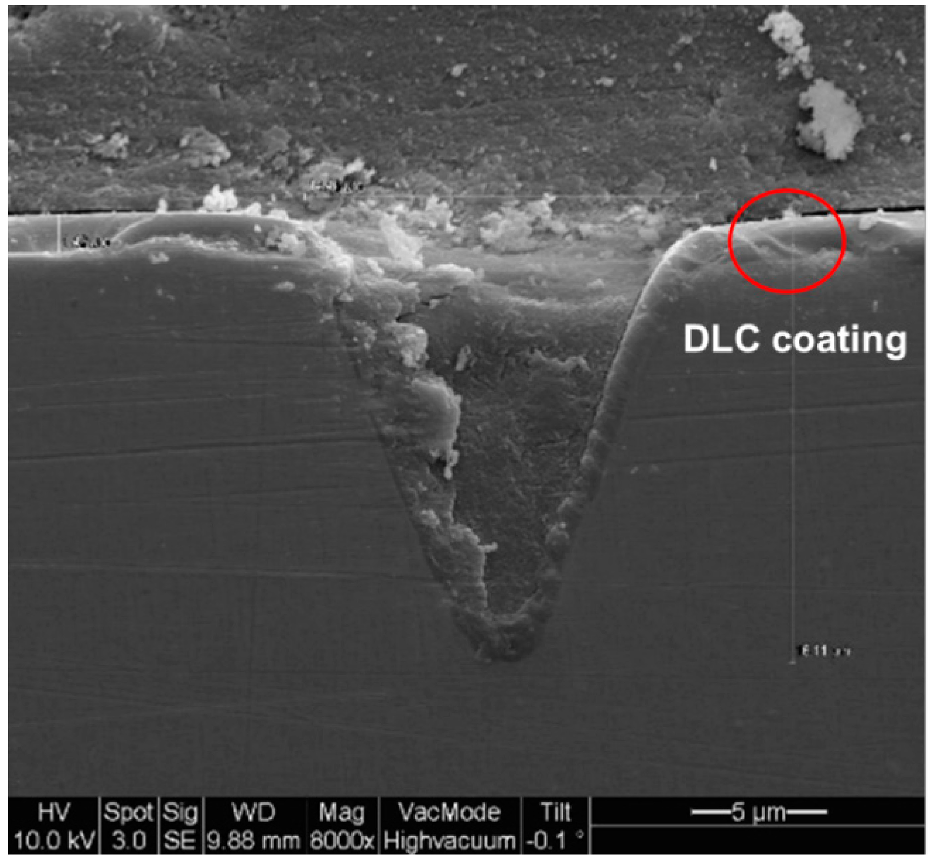 Micromachines 06 01433 g007