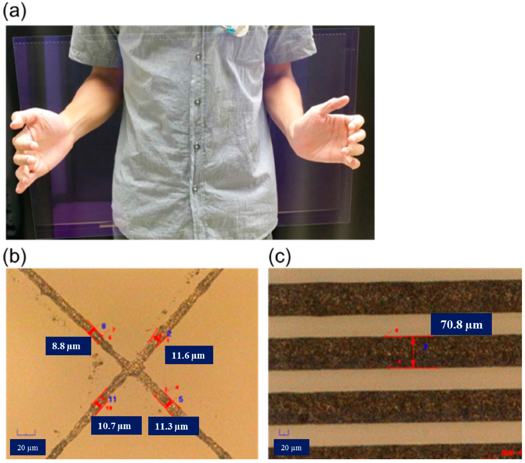 Micromachines 06 01433 g009